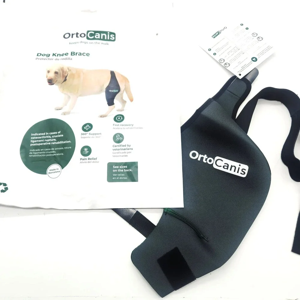 Large Size Dog Knee Brace for Right Hind Leg – Ortocanis ACL Support‎